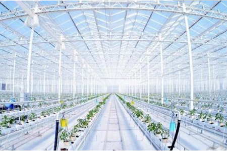 利用物联网技术，补偿传统农业弊端的现代农业，对植株的生长环境需求进行“精确”的定量，对产量进行有效率的制约，对质量更好的把关，农业物联网由感知层、传输层和处理层三部分构成