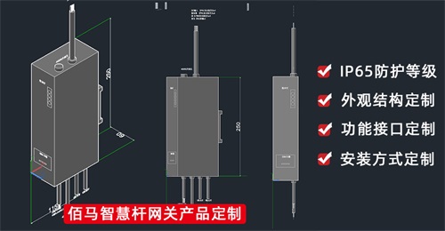 面对不同应用场景和应用功能的智慧路灯杆，除了市面上标准化的智慧杆网关，还可以选择定制网关，开发专属应用功能。